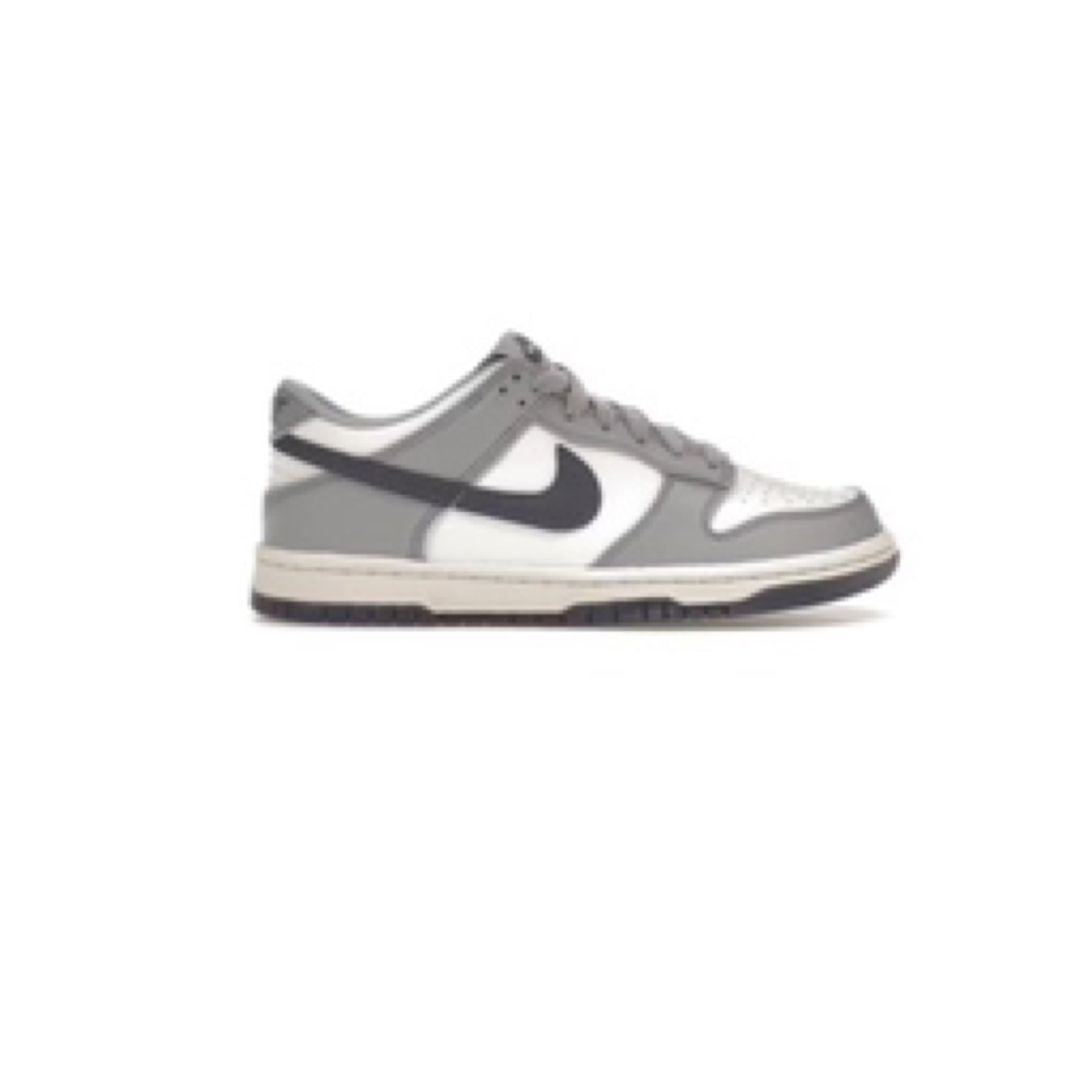 Nike Dunk Low Light Carbon